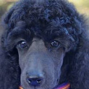 Debbie Curry's photo