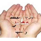 Maged Fathy's photo