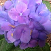 Barbara Mark Mader's photo