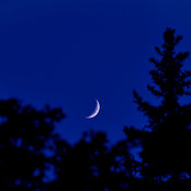 John Daley's photo