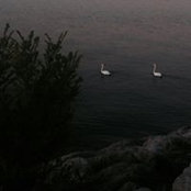 Lydia Oates's photo