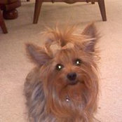 Elsie Dugan's photo