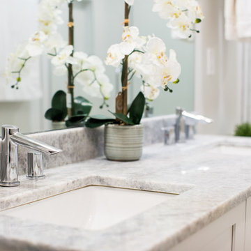 Reston Basement Bathroom Retreat