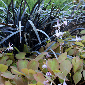 ***Poof** Instant Garden Part 2
