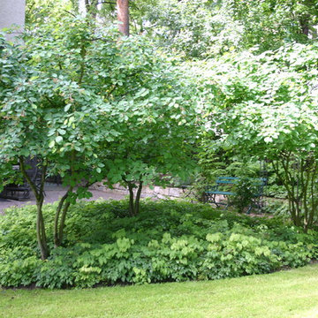 Impressionen aus dem Garten