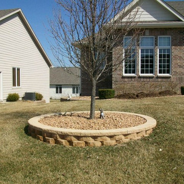 Tree Rings