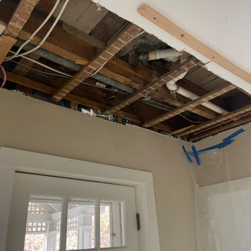Ceiling Repair