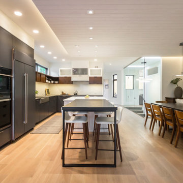 Minneapolis Whole Home Renovation