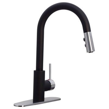 Kitchen Faucet Pull Down Dual Spray Hand Shower, Black/SS