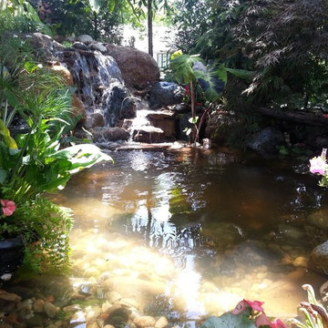 Water Features and Ponds