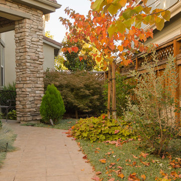 Welcoming Entry to Refined Relaxation