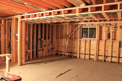 Basement - traditional basement idea in Boston