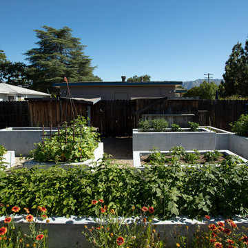 The Escher-Stella Garden