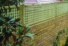 Need ideas on how to extend garden walls for more privacy