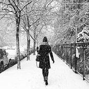 Anne Chesney's photo