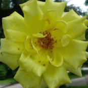 Christine C's photo