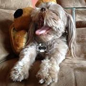 Michelle Sirois's photo