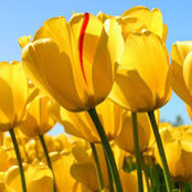 Lindsay Lohmann's photo