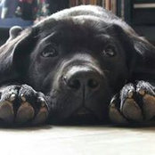Foto von Diane LaMotta