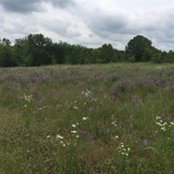 Karen Brown-Walden's photo