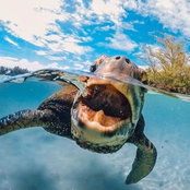 Alina Macovei's photo