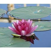Beatriz Rossell's photo