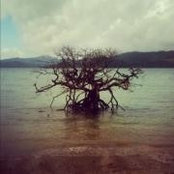 Foto von Stephanie Simpson