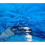 Christopher Coutu's photo