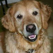 Teresa Michel's photo