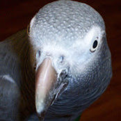 Kathleen Norman's photo
