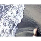 Noah Wieder's photo