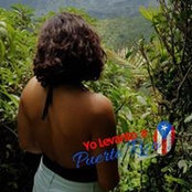 Anays Gonzalez's photo