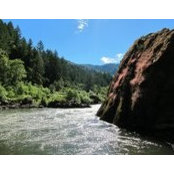 Dawn Bardot's photo