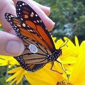 Anne Marie Glawe's photo