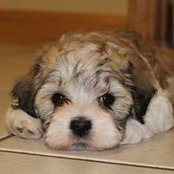 Karen Schwartz Warncke's photo
