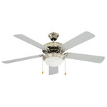 Trans Globe Lighting - 52" Indoor Brushed Nickel Traditional Ceiling Fan - The Westwood Collection single light ceiling fan provides a soft glow of light to indoor areas, while additionally providing refreshing air circulation.  This five blade ceiling fan features a pull chain, Marbleized glass shade, reversible blades allow for Rosewood or Silver design options, and a Brushed Nickel finish.