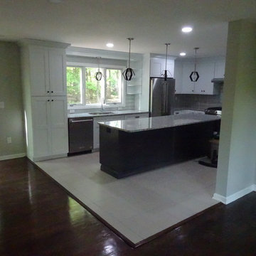 Whole house remodel - Flip home