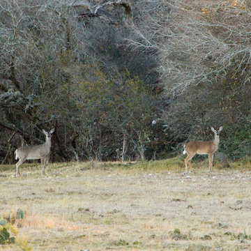 North Creek Ranch-- 600 Acres