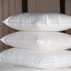 Ogallala Comfort Company Double Shell 800 Hypo-Blend Soft Pillow, Queen