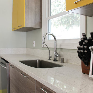 Compact & Vivid Contemporary Kitchen in Pasadena