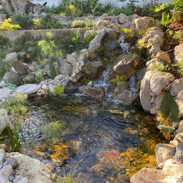 Encino Pond, Pondless Waterfall & Landscape Project
