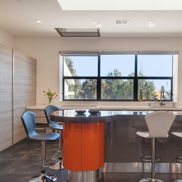 Cupertino Modern House