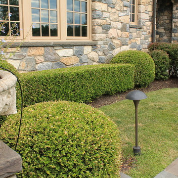 Landscape Design