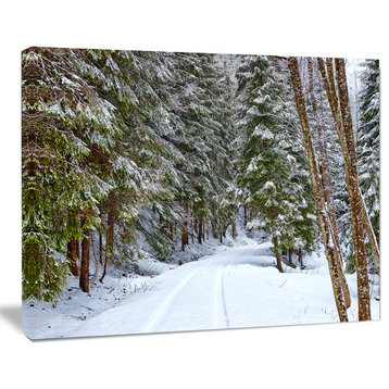 Snowy Road in the Forest, Landscape Canvas Art Print, 40"x30"