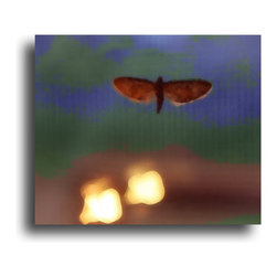 Photography - Fine Art Prints