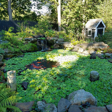 Backyard Retreat