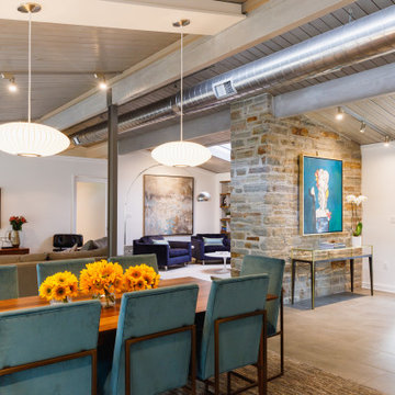 Chris and Lisa's Whole House Remodel