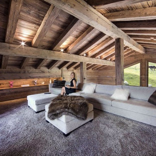 Inspiration for a rustic home theater remodel in Lyon