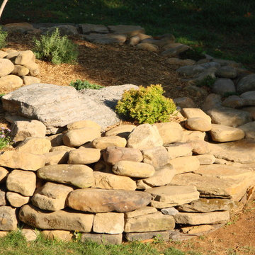 Rock Center Pc. - Tree Protection - When Tree get Larger will be - Shade Garden
