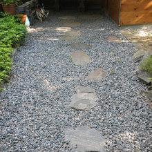 Forest Path